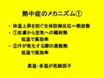図１