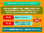 図７