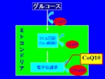 図１